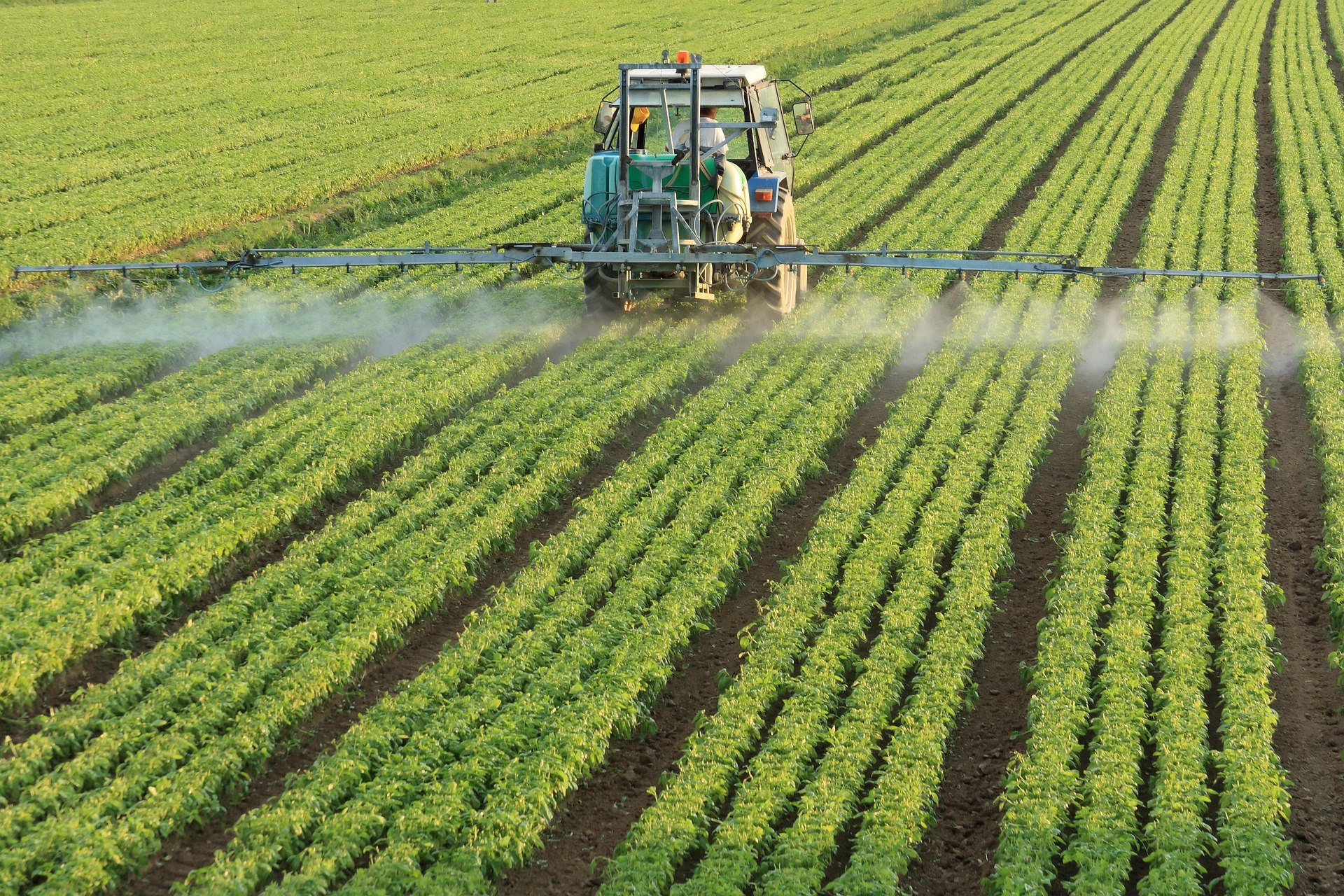 Fertilizer Field
